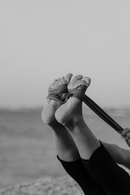 12 week resistance band training program pdf