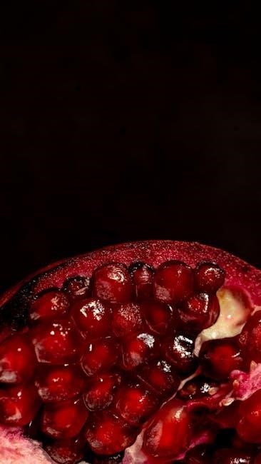 macros food list pdf
