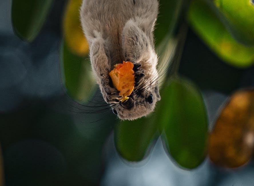 anime 5e pdf free download